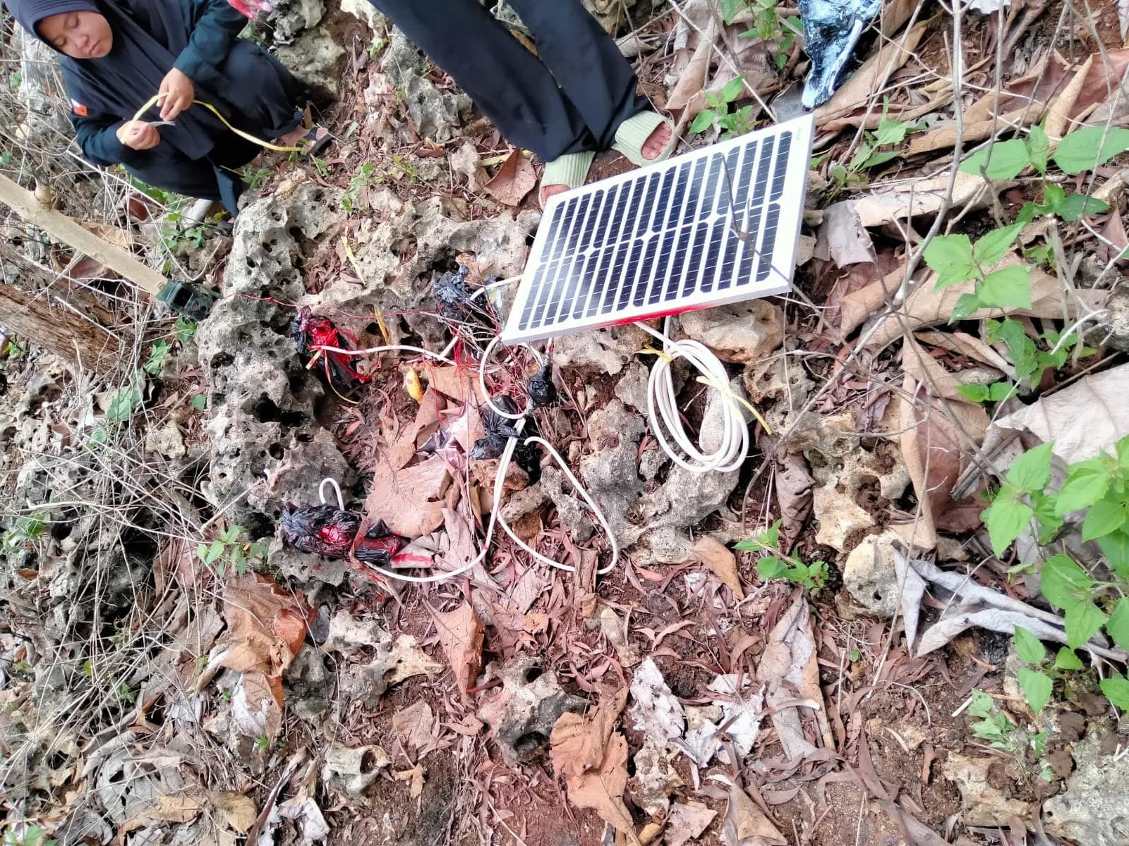 Kumpulan foto-foto kegiatan pemasangan alat pengusir hama monyet ekor panjang.